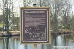 Schwanenteich Norden 15.2.2019-0520