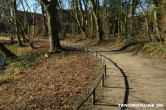 Schwanenteich Norden 15.2.2019-0552