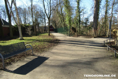 Schwanenteich Norden 15.2.2019-0581