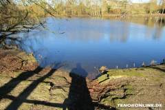 Schwanenteich Norden 15.2.2019-0585