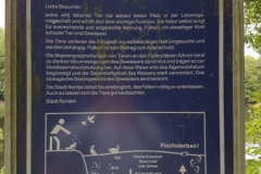 Schwanenteich Norden 2017-19