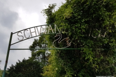 Schwanenteich Norden 2017-3