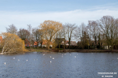Schwanenteich-Stadt-Norden-24.3.2020-13