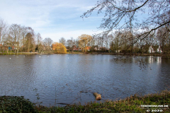 Schwanenteich-Stadt-Norden-24.3.2020-14