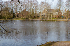 Schwanenteich-Stadt-Norden-24.3.2020-18