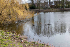 Schwanenteich-Stadt-Norden-24.3.2020-3