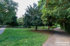 Schwanenteich-Knyphausenstrasse-Norden-26.7.2022-1