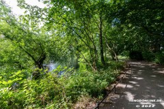 Schwanenteich-Knyphausenstrasse-Norden-26.7.2022-10