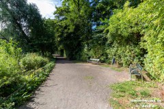 Schwanenteich-Knyphausenstrasse-Norden-26.7.2022-12