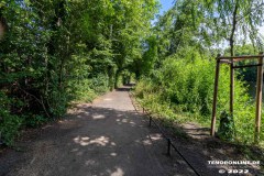 Schwanenteich-Knyphausenstrasse-Norden-26.7.2022-16