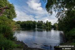 Schwanenteich-Knyphausenstrasse-Norden-26.7.2022-19