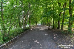 Schwanenteich-Knyphausenstrasse-Norden-26.7.2022-22