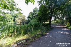 Schwanenteich-Knyphausenstrasse-Norden-26.7.2022-23