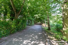 Schwanenteich-Knyphausenstrasse-Norden-26.7.2022-24