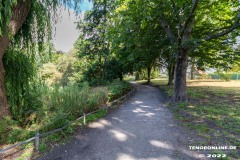 Schwanenteich-Knyphausenstrasse-Norden-26.7.2022-27