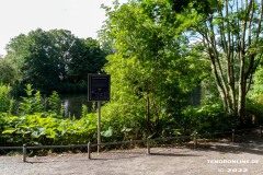 Schwanenteich-Knyphausenstrasse-Norden-26.7.2022-3