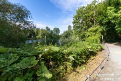 Schwanenteich-Knyphausenstrasse-Norden-26.7.2022-31