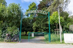 Schwanenteich-Knyphausenstrasse-Norden-26.7.2022-35