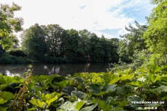 Schwanenteich-Knyphausenstrasse-Norden-26.7.2022-4