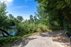 Schwanenteich-Knyphausenstrasse-Norden-26.7.2022-5