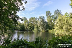 Schwanenteich-Knyphausenstrasse-Norden-26.7.2022-8