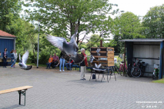 Brieftauben-Auflaß-Sommerfest-Haus-der-Vereine-Norden-9.6.2019-7