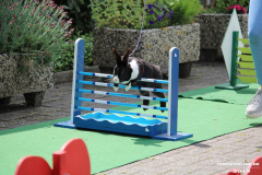 Kaninhop-Sommerfest-Haus-der-Vereine-Norden-9.6.2019-1