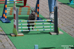 Kaninhop-Sommerfest-Haus-der-Vereine-Norden-9.6.2019-11