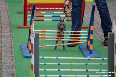Kaninhop-Sommerfest-Haus-der-Vereine-Norden-9.6.2019-16