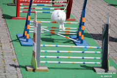 Kaninhop-Sommerfest-Haus-der-Vereine-Norden-9.6.2019-18