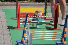 Kaninhop-Sommerfest-Haus-der-Vereine-Norden-9.6.2019-19
