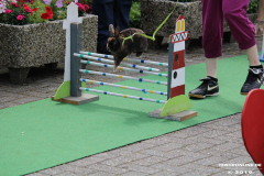 Kaninhop-Sommerfest-Haus-der-Vereine-Norden-9.6.2019-2