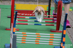 Kaninhop-Sommerfest-Haus-der-Vereine-Norden-9.6.2019-21