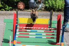 Kaninhop-Sommerfest-Haus-der-Vereine-Norden-9.6.2019-24