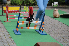 Kaninhop-Sommerfest-Haus-der-Vereine-Norden-9.6.2019-3