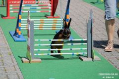 Kaninhop-Sommerfest-Haus-der-Vereine-Norden-9.6.2019-35