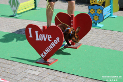 Kaninhop-Sommerfest-Haus-der-Vereine-Norden-9.6.2019-37