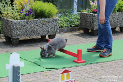 Kaninhop-Sommerfest-Haus-der-Vereine-Norden-9.6.2019-39