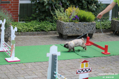 Kaninhop-Sommerfest-Haus-der-Vereine-Norden-9.6.2019-41