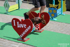 Kaninhop-Sommerfest-Haus-der-Vereine-Norden-9.6.2019-43