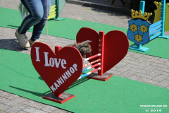 Kaninhop-Sommerfest-Haus-der-Vereine-Norden-9.6.2019-45