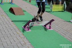 Kaninhop-Sommerfest-Haus-der-Vereine-Norden-9.6.2019-5