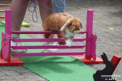 Kaninhop-Sommerfest-Haus-der-Vereine-Norden-9.6.2019-8