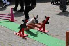 Kaninhop-Sommerfest-Haus-der-Vereine-Norden-9.6.2019-9