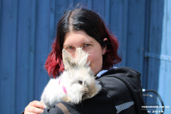 Sommerfest-Haus-der-Vereine-Norden-9.6.2019-11