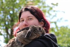 Sommerfest-Haus-der-Vereine-Norden-9.6.2019-9