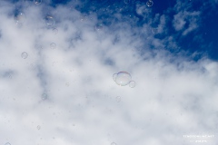 BubblesForFun-Sommerfest-Stadt-Norden-31.8.2025-68