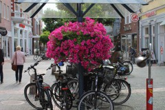 Aurich-Ostfriesland-4.7.2019-21