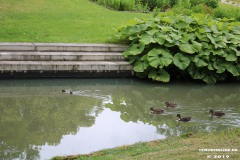 Aurich-Ostfriesland-4.7.2019-37