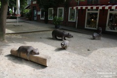 Aurich-Ostfriesland-4.7.2019-48